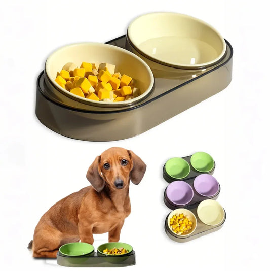 Transparent Ins Wind Macaron Color Cat and Dog Feeding Bowl Water Food Integrated Cat and Dog Eating  Cat Food Bowl