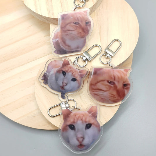 Silly Cat Feeder Camera,Cats Cat Looking At Camera Meme,Mr.Fresh, Cat Eating Food meme Cute Fun Keychain Gift For Friend Keyring